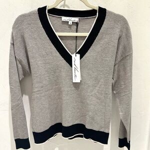 Red Haute V-Neck Sweater in Gray and Black